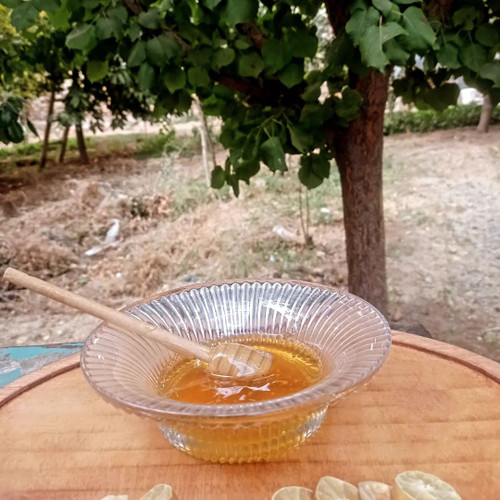 خرید عسل درجه یک طبیعی با تضمین کیفیت یک کیلویی خشکبار تویسرکان
