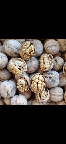 خرید گردو روغنی اعلا پوست کاغذی تویسرکان یک کیلویی پرمغز با ارسال فوری