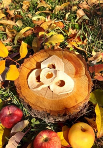 خرید برگه سیب محلی تازه شیرین و پاستیلی نهاوند با کیفیت عالی