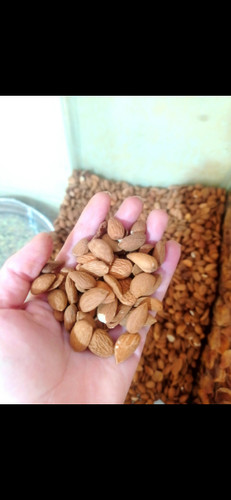 خرید مغز بادام اعلا محلی تویسرکان یک کیلویی امسالی با قیمت عالی | ارسال فوری