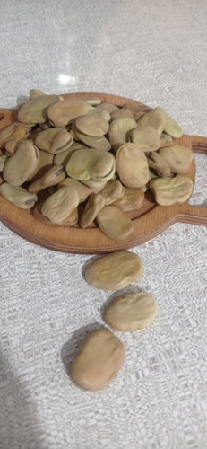 خرید باقالی خشک شمالی یک کیلو اعلا امسالی گیلان با کیفیت تضمینی